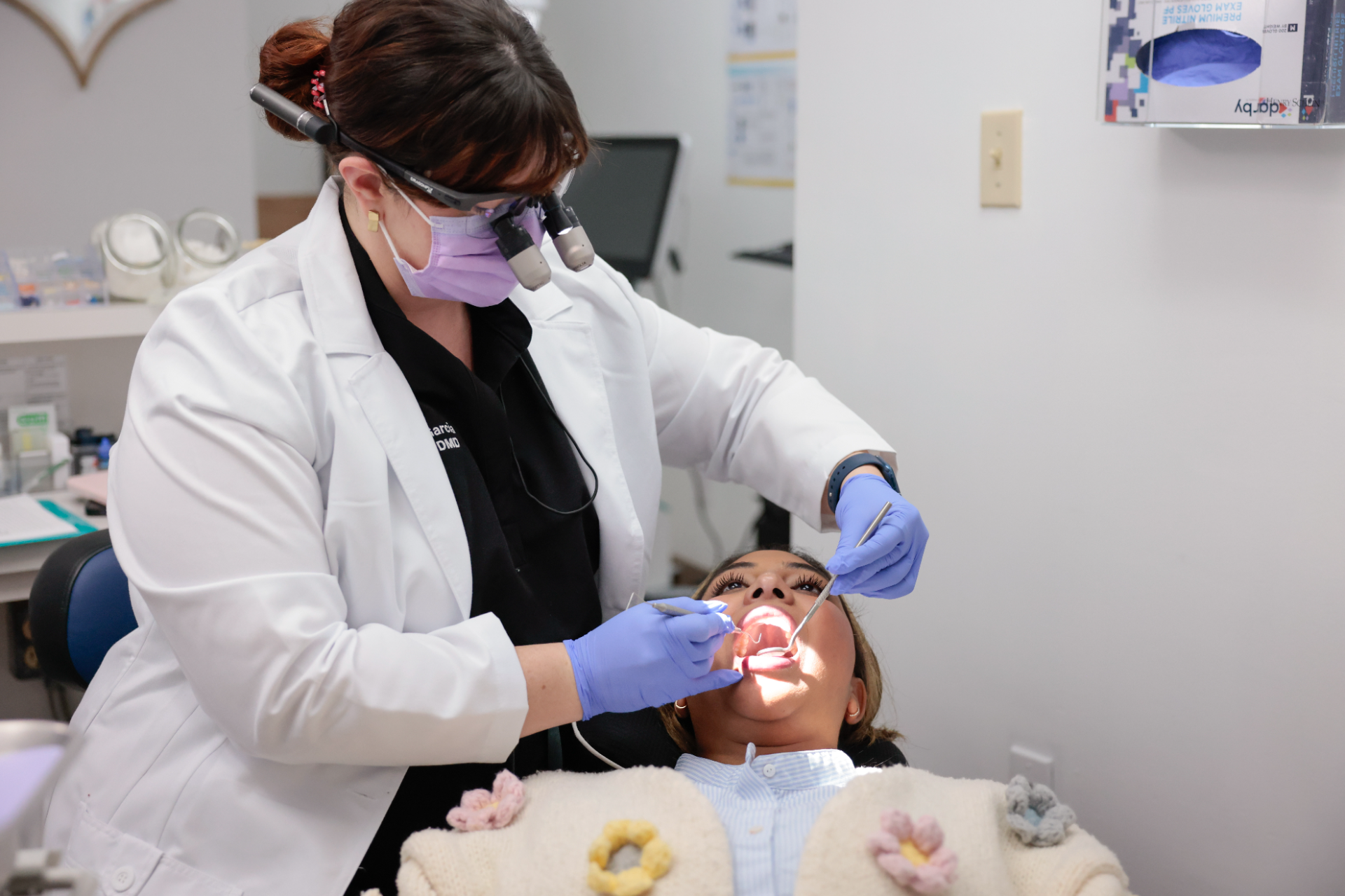 dentist in palm harbor team 17