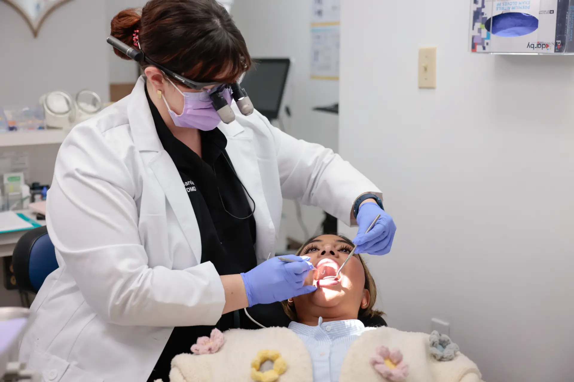 dentist in palm harbor team 17