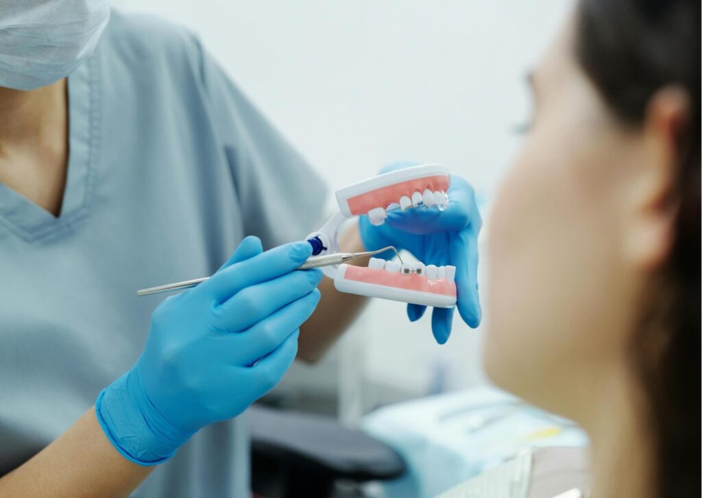 Orthodontist using a teeth model to explain why some patients may need braces again after previous treatment.