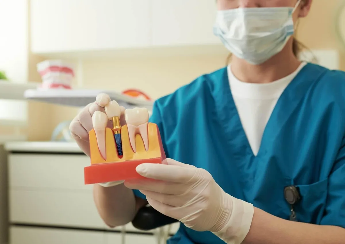 Dental professional holding a dental implant model while explaining affordable dental implant treatment options.